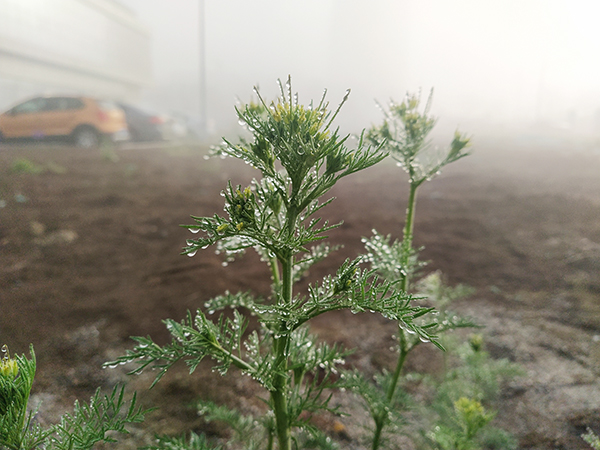 1618387400513369.jpeg 微信圖片_20210414155603.jpg