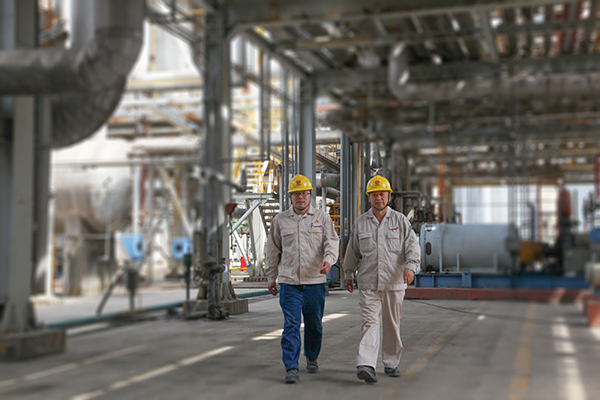 1652750659593864.jpeg IMG_0455副圖600.jpg