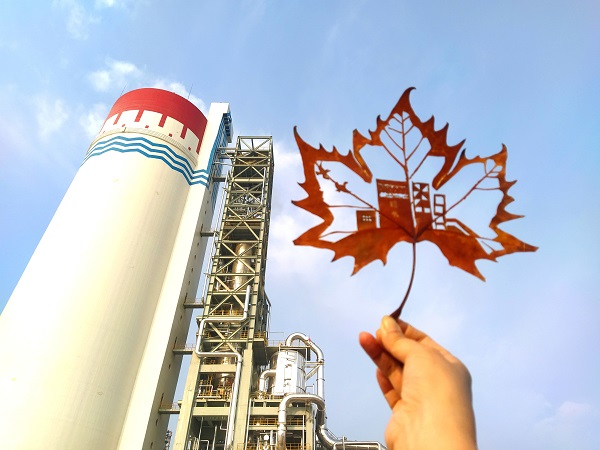 1666661683166921.jpeg 1 (1).jpg