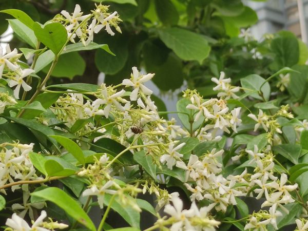 1683361352610535.jpeg 微信圖片_20230506162149.jpg