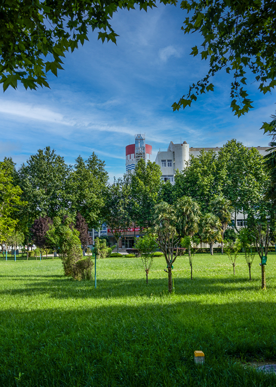 1686528471244816.jpeg 003 003.jpg