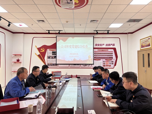 2024年11月5日，支部參加公司年度黨建檢查.jpg
