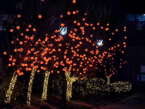 小區彩燈    600.jpg