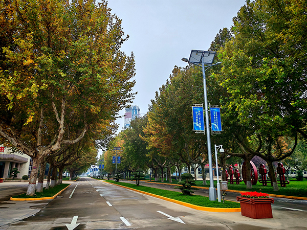 IMG_20251029_204533  600.jpg